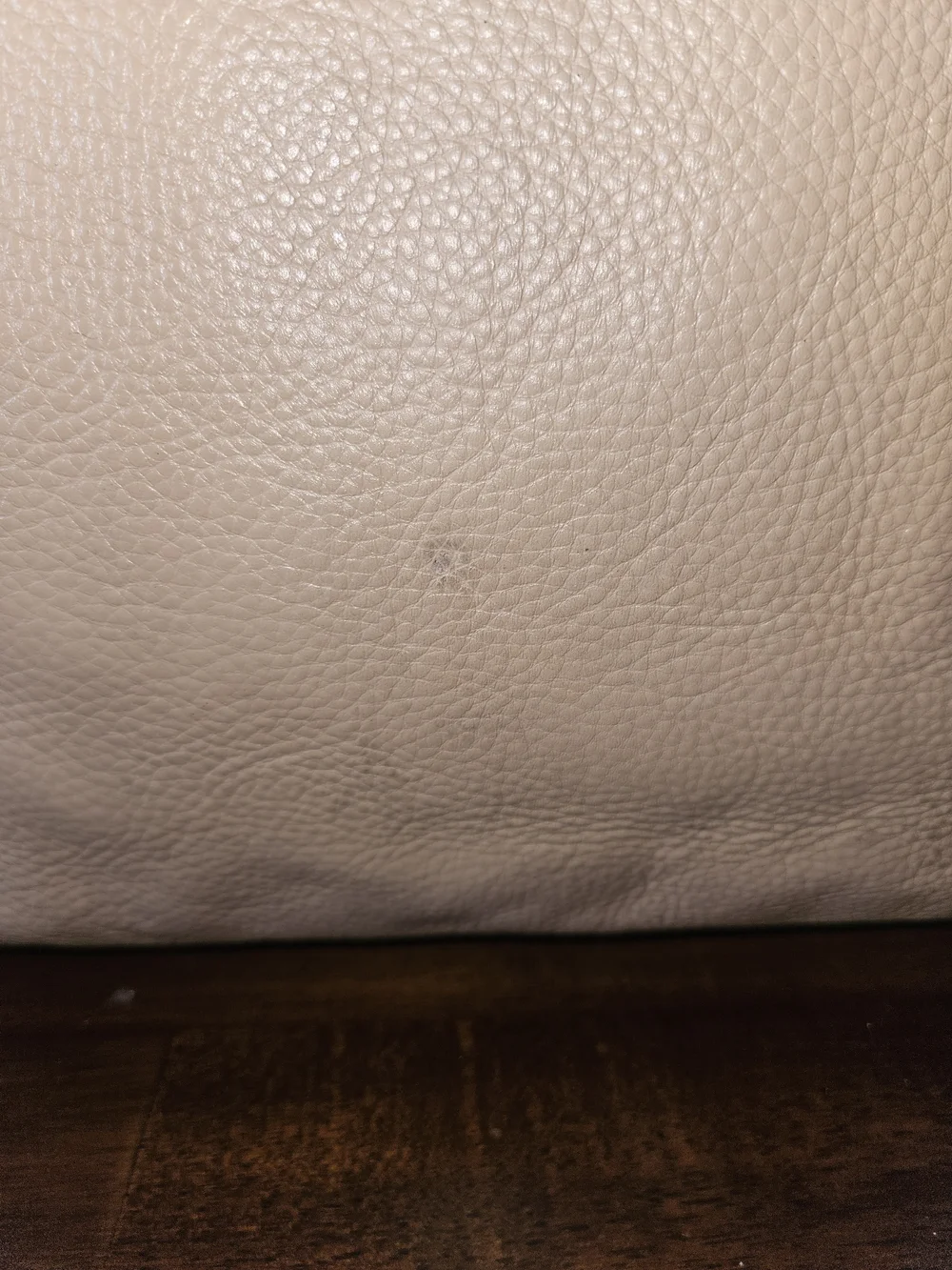 Women's Beige Tote Bag with Black Straps
